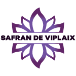 Logo Safran de Viplaix