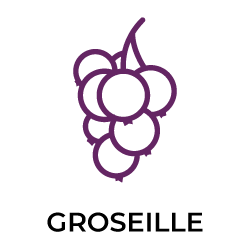 Groseille