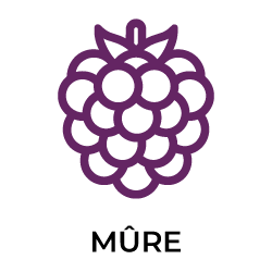 Mûre