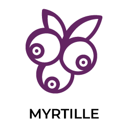 Myrtille